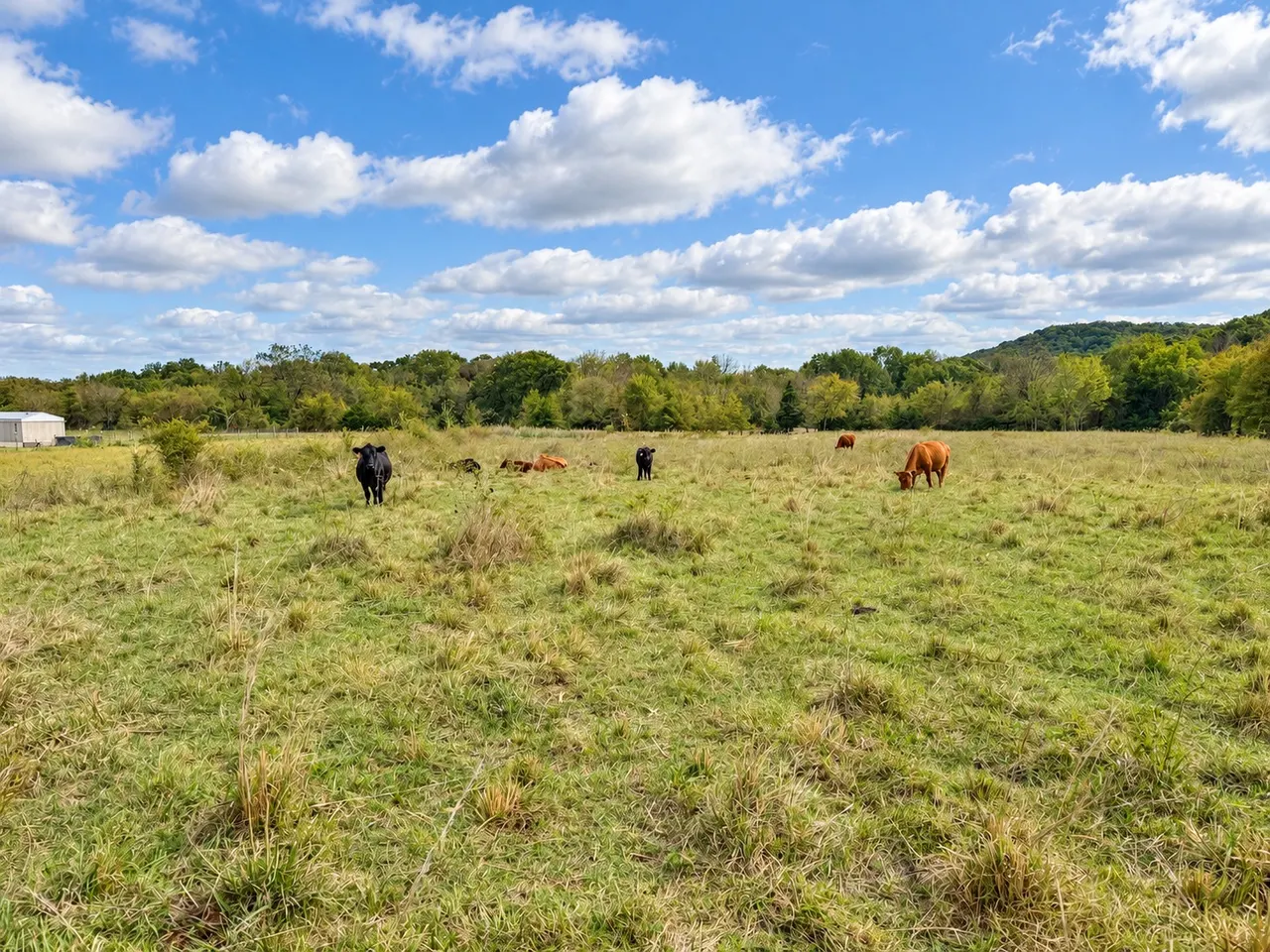 Photo 15 — 22985 S 155th St E, Webbers Falls, OK 74470