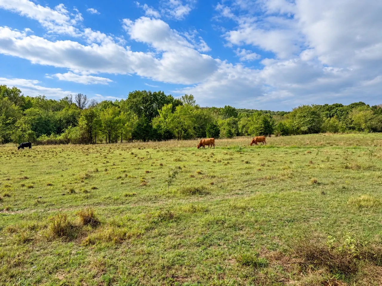 Photo 22 — 22985 S 155th St E, Webbers Falls, OK 74470