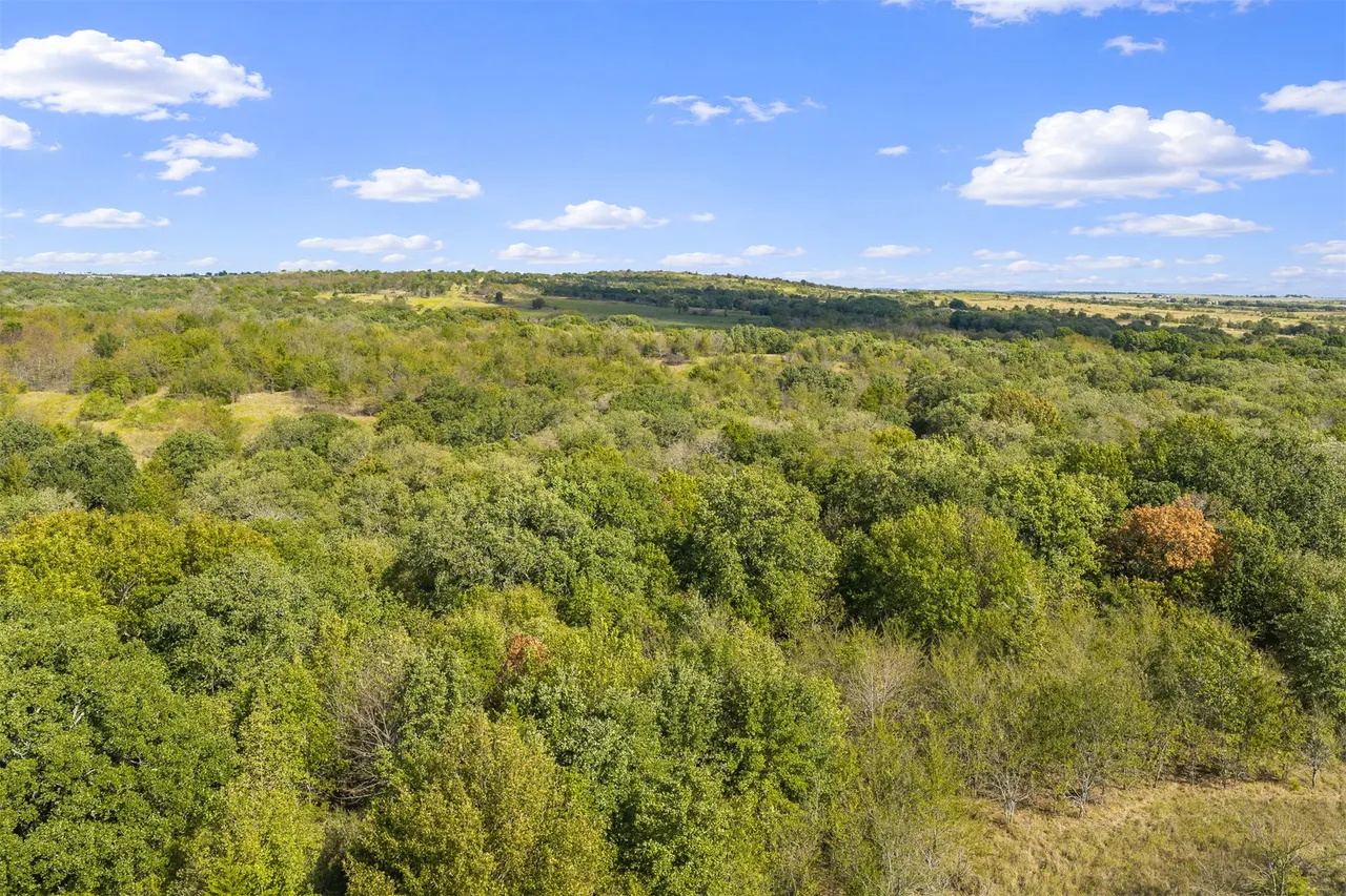 Photo 66 — 0 Loves Valley Road, Marietta, OK 73448
