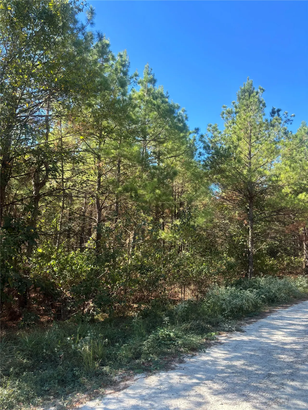 Photo 5 — Overcup Acorn Trail, Broken Bow, OK 74728