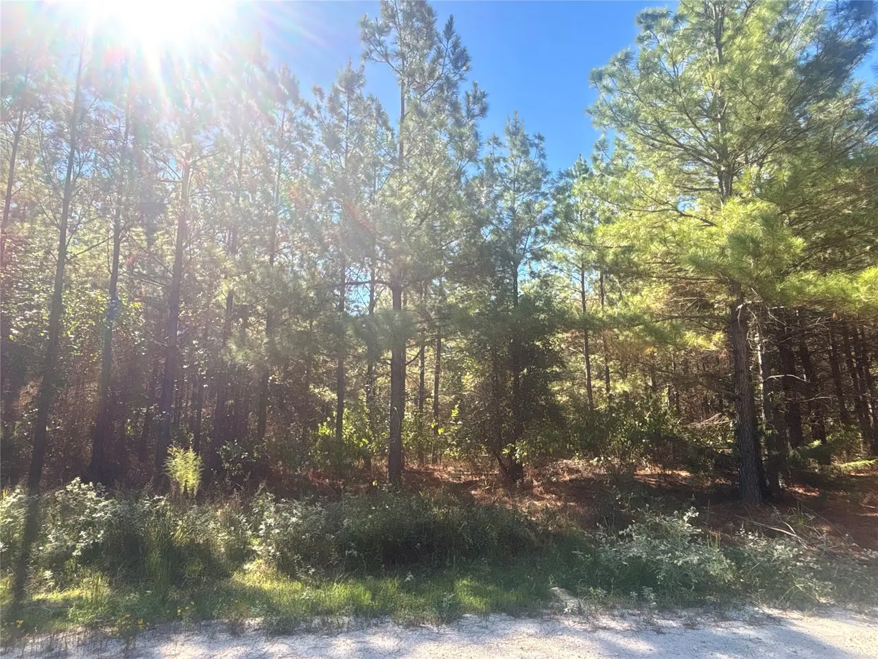 Photo 9 — Overcup Acorn Trail, Broken Bow, OK 74728