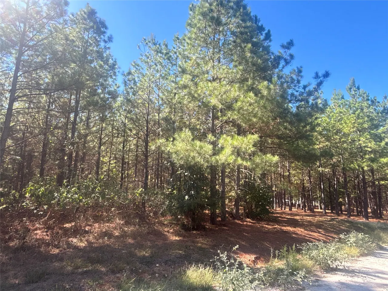 Photo 10 — Overcup Acorn Trail, Broken Bow, OK 74728