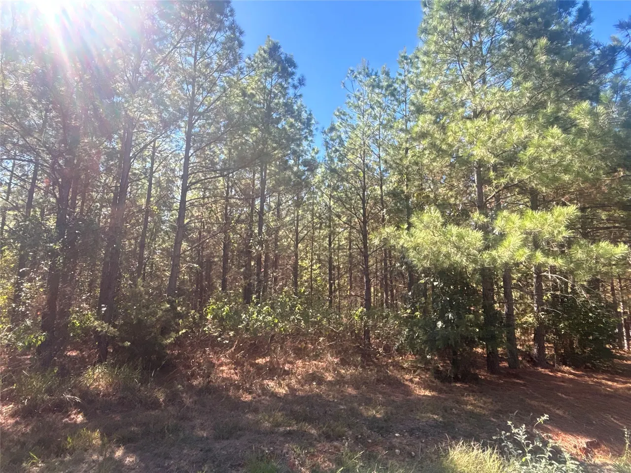 Photo 11 — Overcup Acorn Trail, Broken Bow, OK 74728