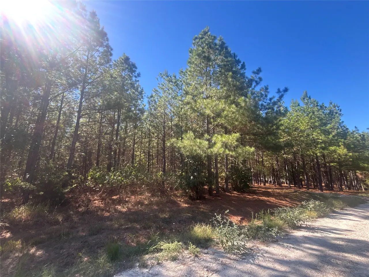 Photo 12 — Overcup Acorn Trail, Broken Bow, OK 74728