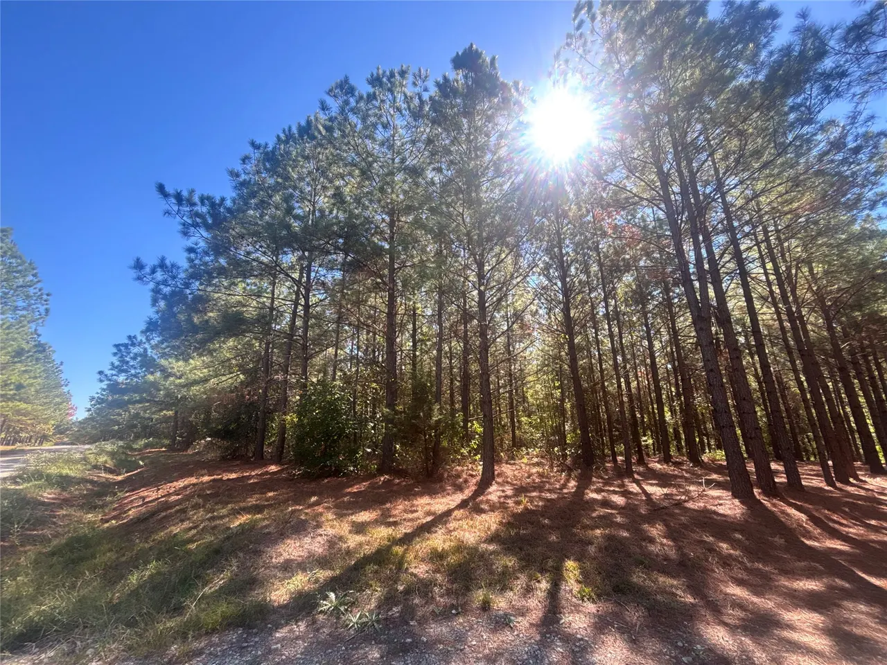 Photo 13 — Overcup Acorn Trail, Broken Bow, OK 74728