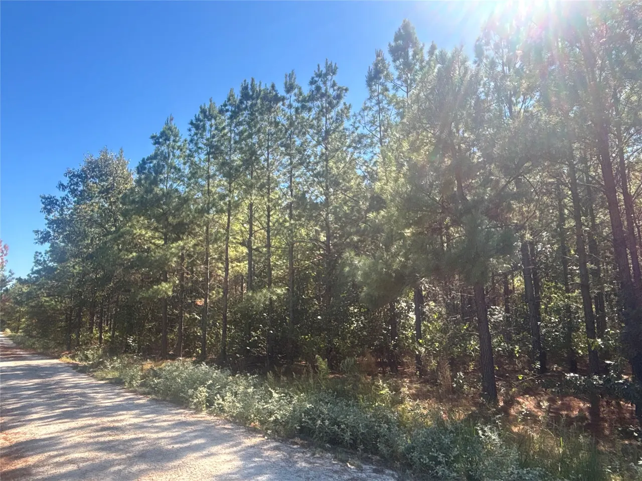 Photo 14 — Overcup Acorn Trail, Broken Bow, OK 74728