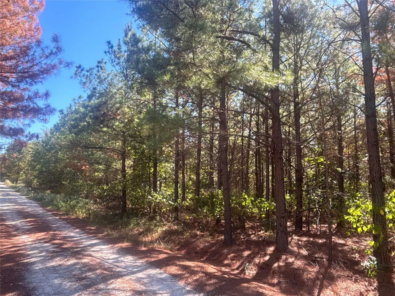 Photo 15 — Overcup Acorn Trail, Broken Bow, OK 74728