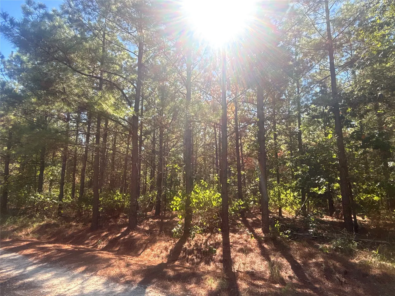 Photo 16 — Overcup Acorn Trail, Broken Bow, OK 74728