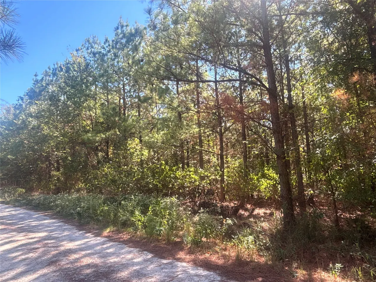 Photo 17 — Overcup Acorn Trail, Broken Bow, OK 74728