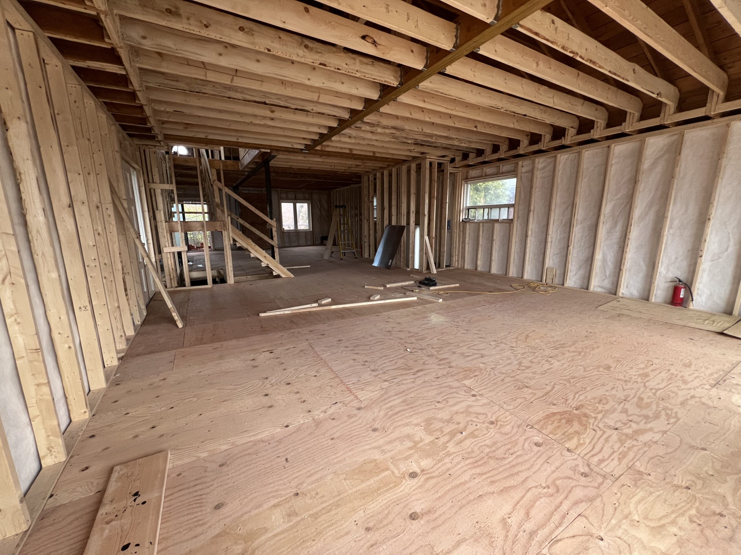 Basement Finishing