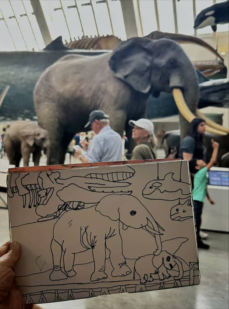 Home Education Art Class