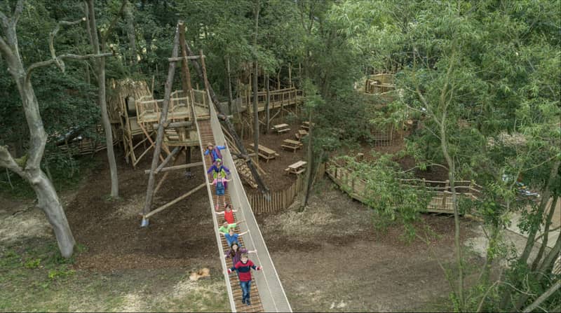 Home Education Art Class