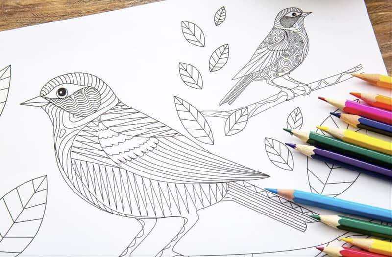Home Education Art Class