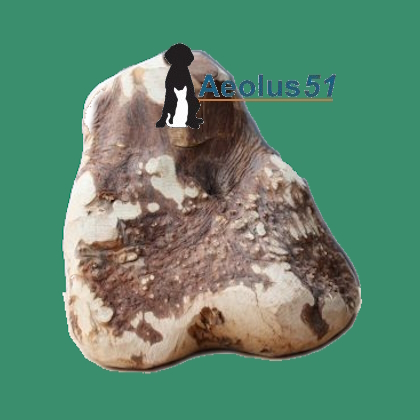 Briar kauwhout Extra Large