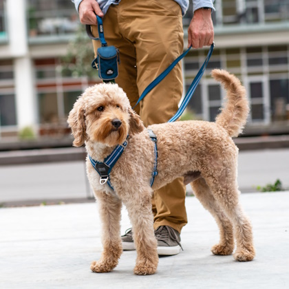 Comfort Walk Air XL