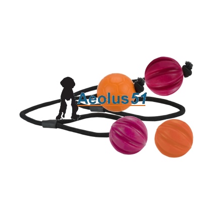 Dog Comets bal 6 cm met touw