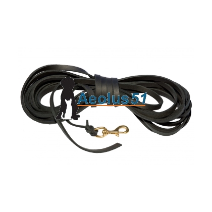 Lange lijn leer 5 m x 20 mm