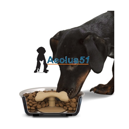 Loving Pets Slow feeder