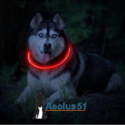 Petsport oplaadbare led-verlichtingsband