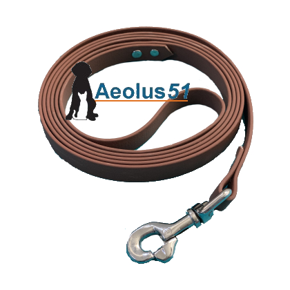 Riem Biothane choco 200 cm x 16 mm