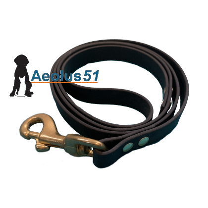 Riem Biothane zwart 100 cm  x 16 mm