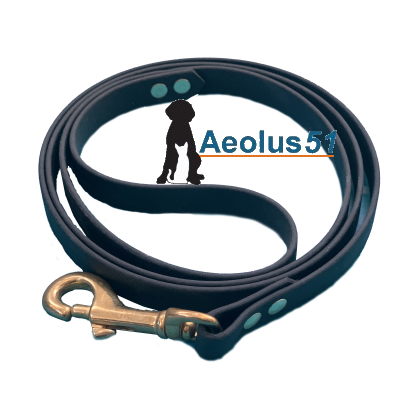 Riem Biothane zwart 125 cm x 16 mm