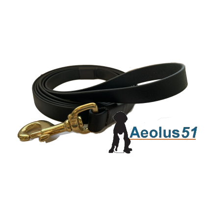 Riem Biothane zwart 125 cm  x 19 mm