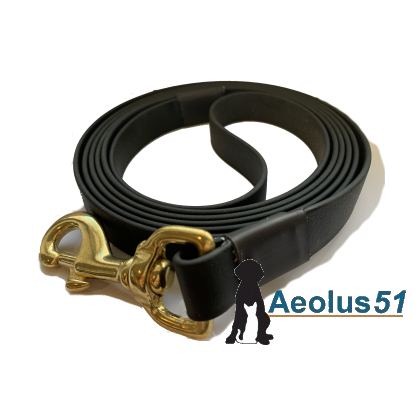 Riem Biothane zwart 2 m  x 16 mm