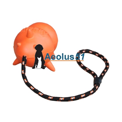 Snorky oranje