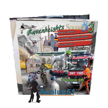 Training CD Stadsgeluiden