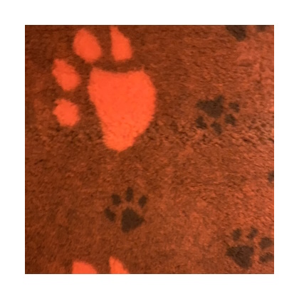 Vetbed 3-kleur 50 x 75 cm oranje pootjes klein en groot