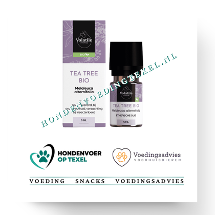 Volatile Tea Tree bio 10 ml