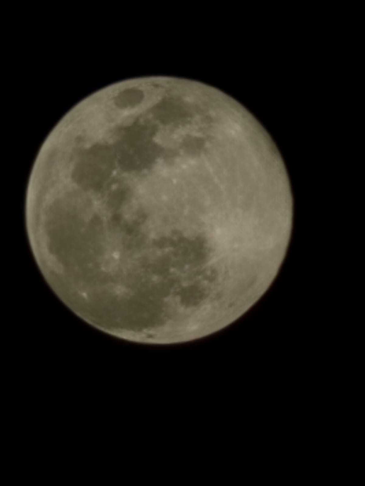 w8jute4kWDMYOcch1q0pPoN3jYs1