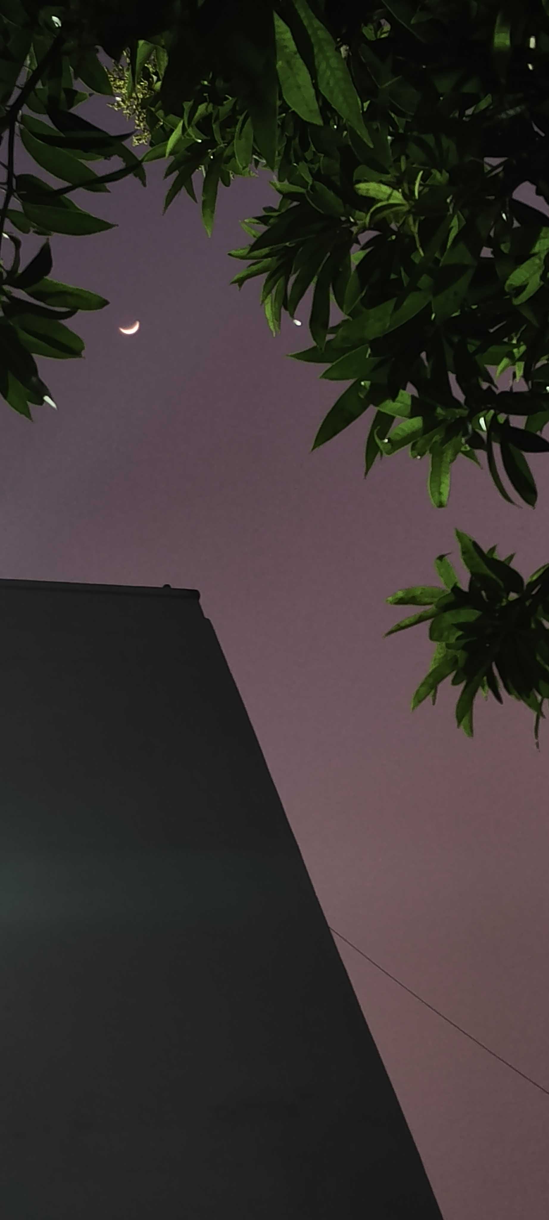 7xuXgfaXo9YePYE8C1GOI51n9Ku2