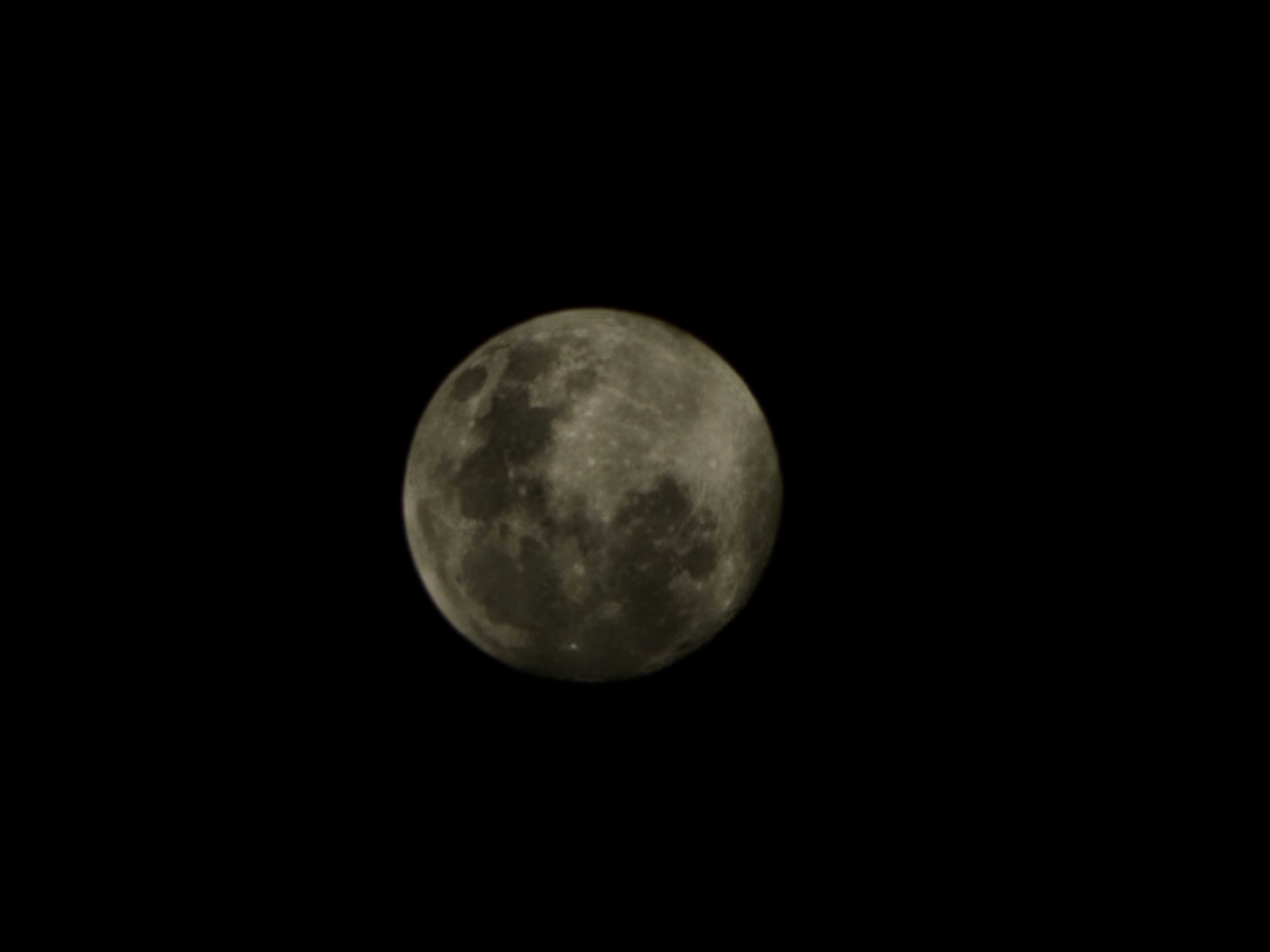 H5opOhrcR2ZgCwkOjv57Y1z4RWC3