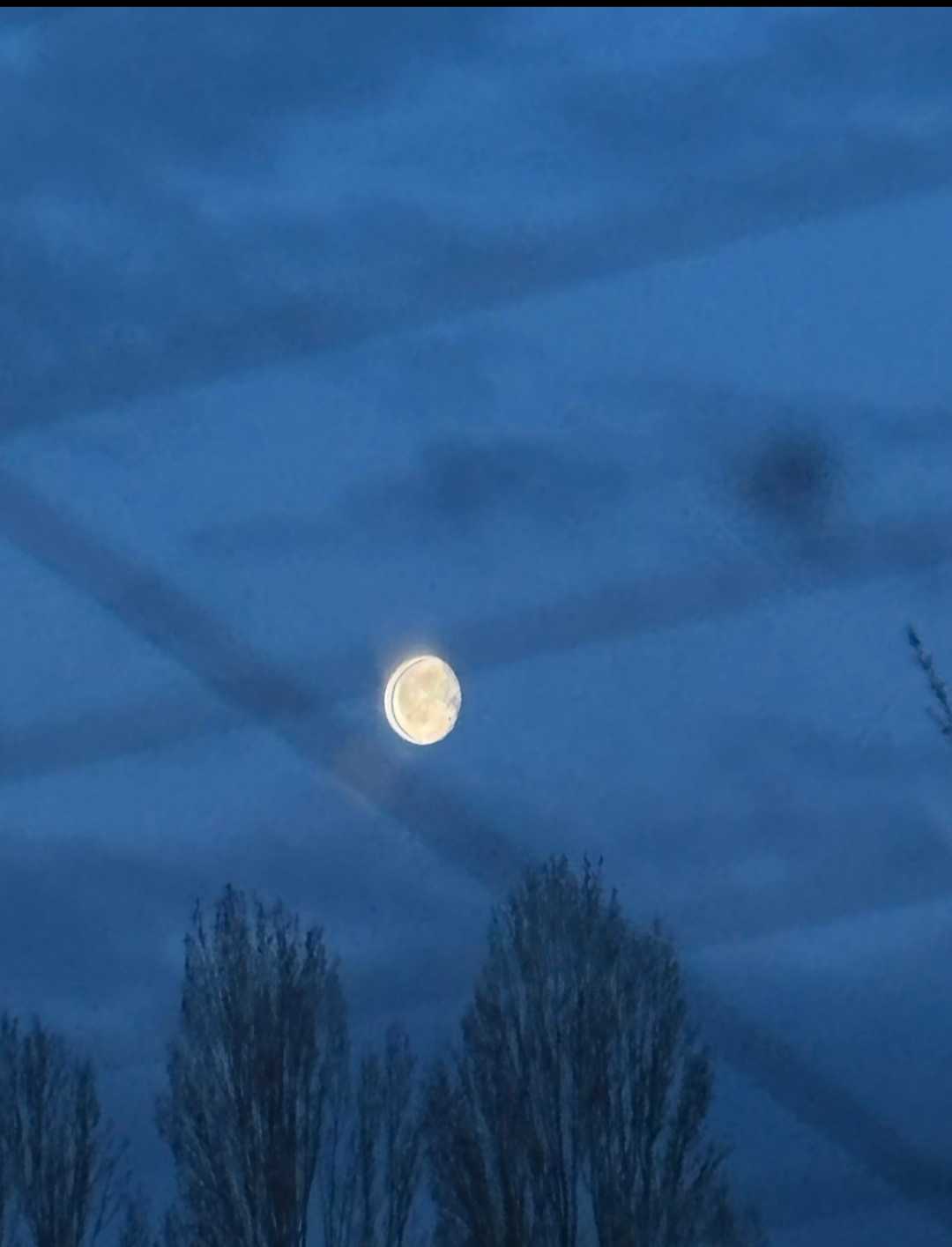 1ZBWJNUlKqNVDEFpzLDBBAQqrU42