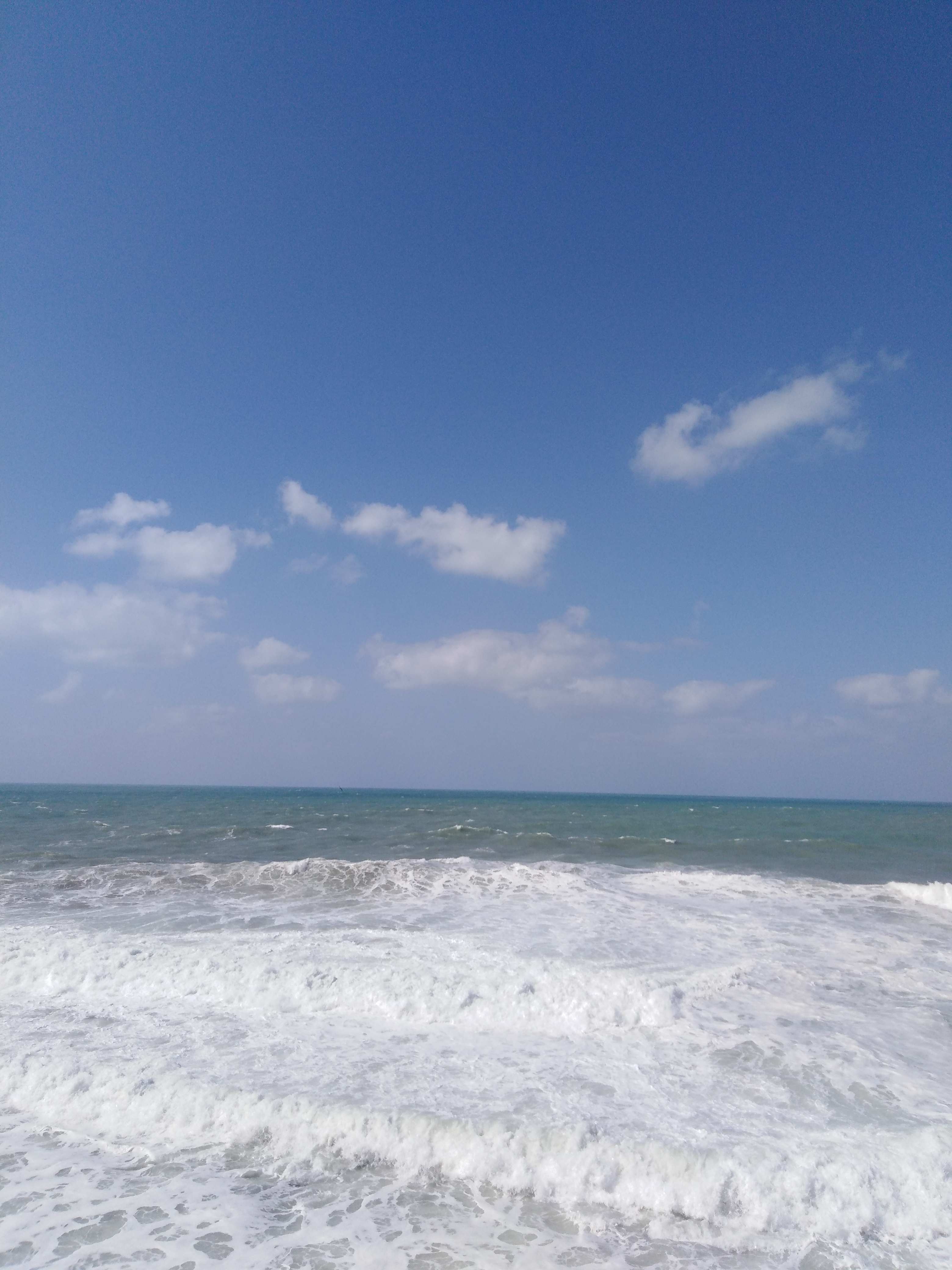 Blog Cover
