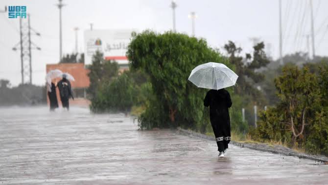 Saudi Arabia’s Hidden Emeralds: The Ultimate Rainy Season Travel Guide