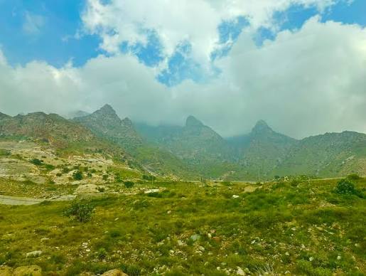 Where to See Green Landscapes in Saudi Arabia?