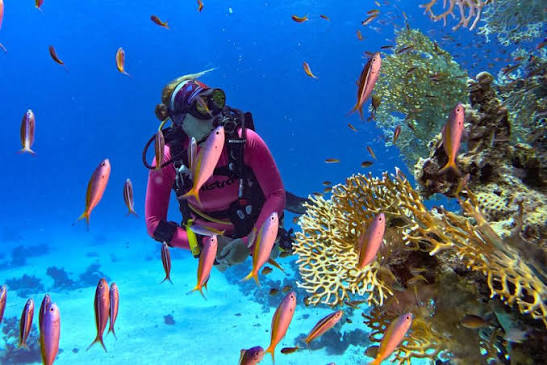 The Ultimate Guide to World-Class Diving Destinations in Saudi Arabia