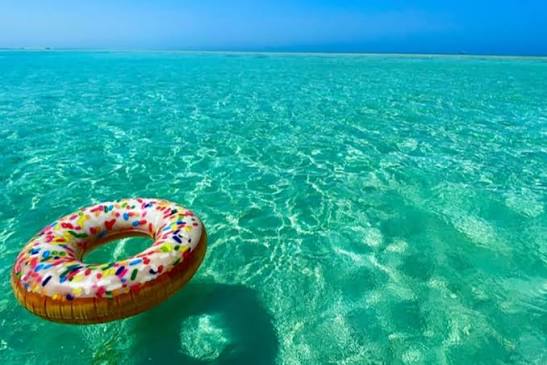 The Ultimate Guide to the Best Beaches in Saudi Arabia