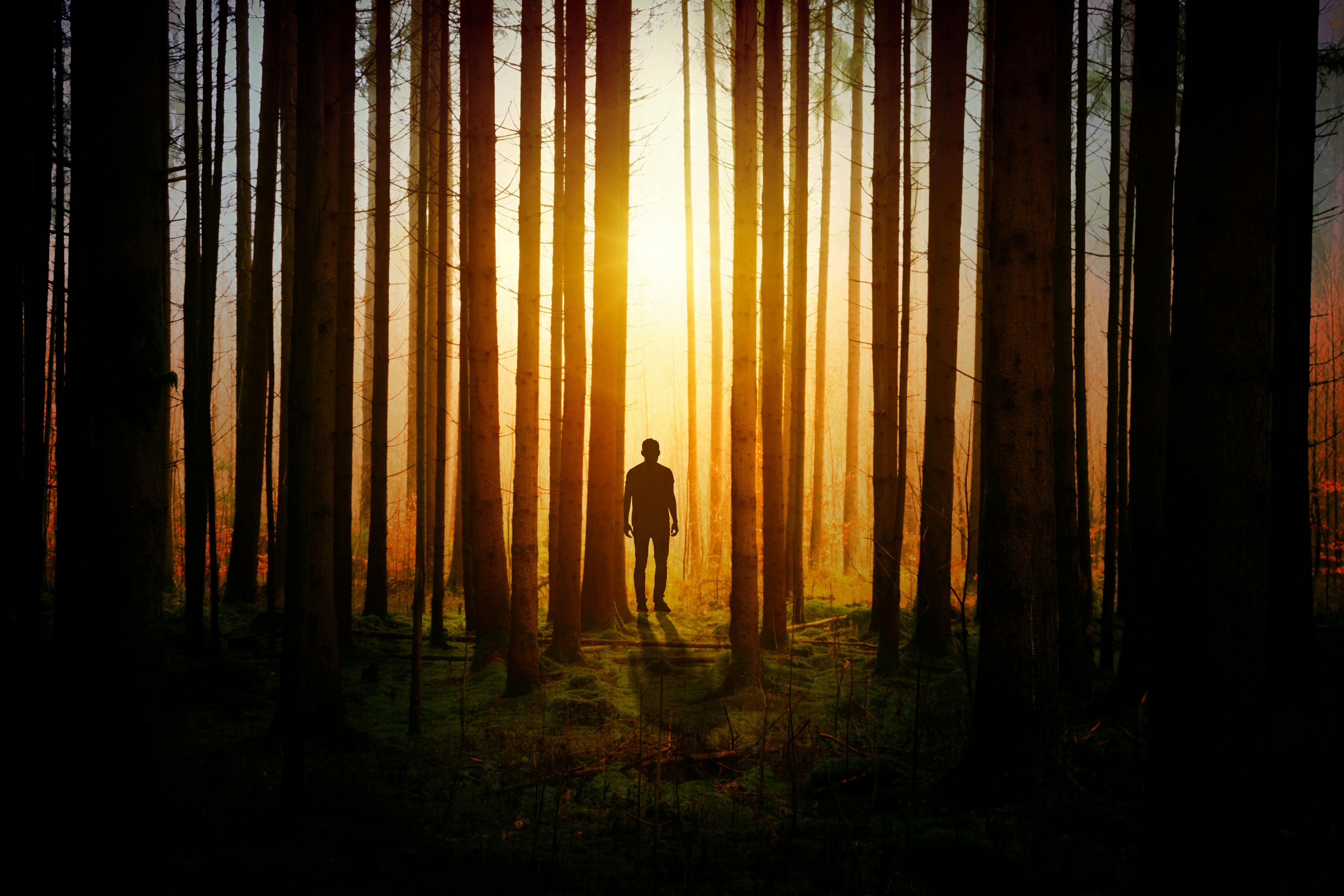 Blog Cover