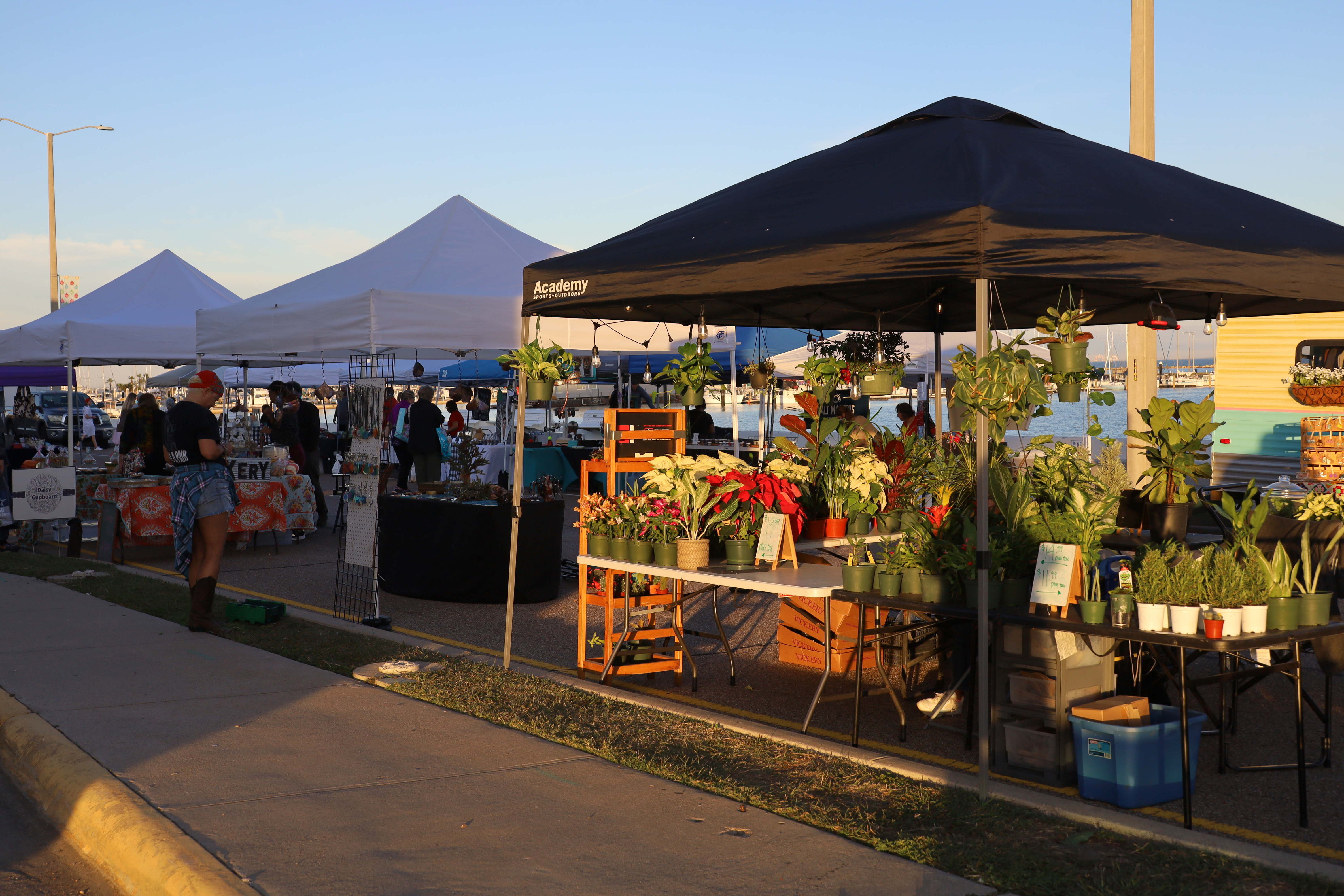 Corpus Christi Farmers Market image