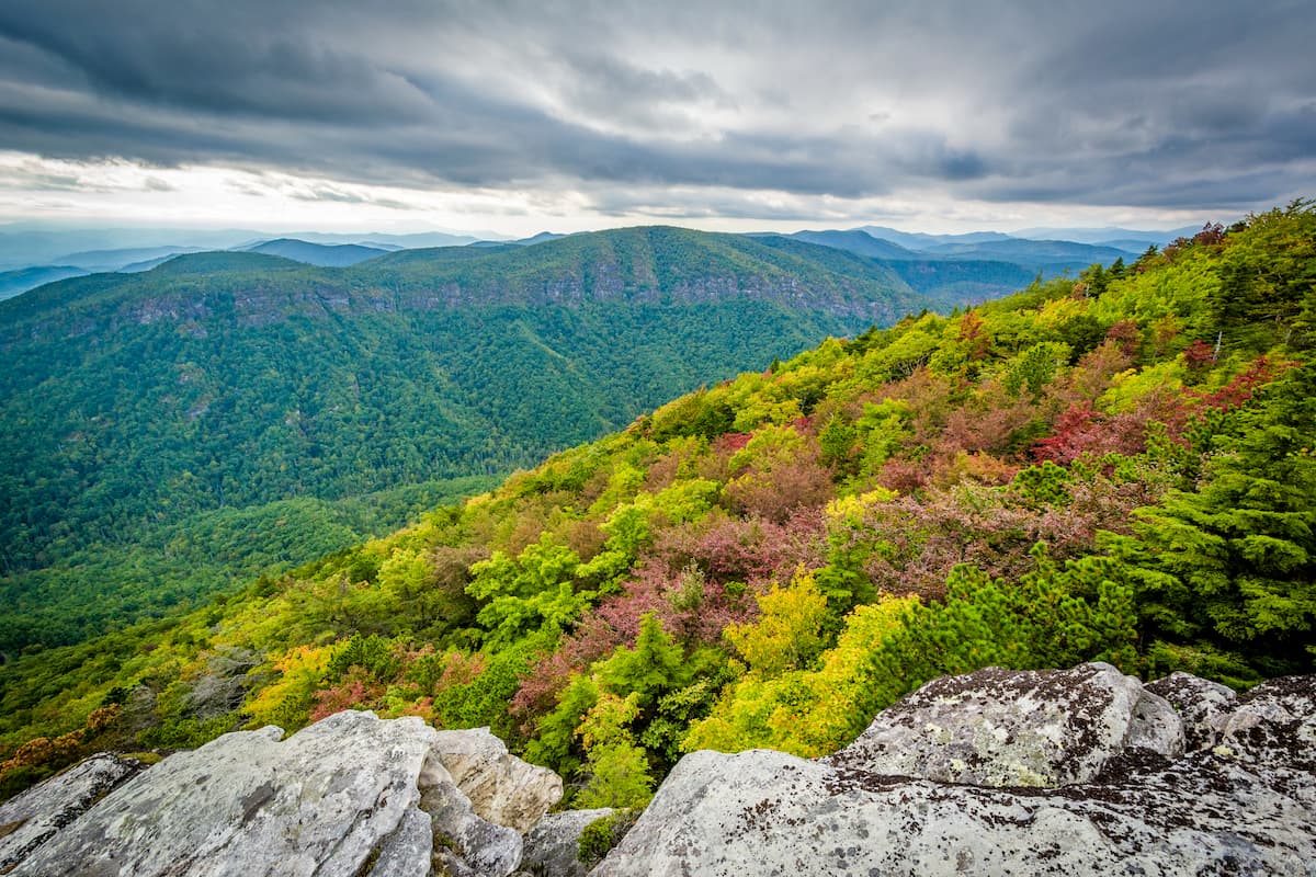Pisgah National Forest image
