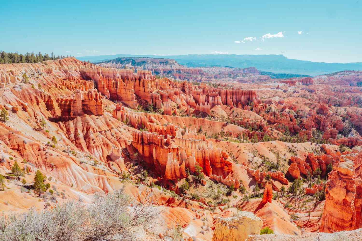 Bryce image