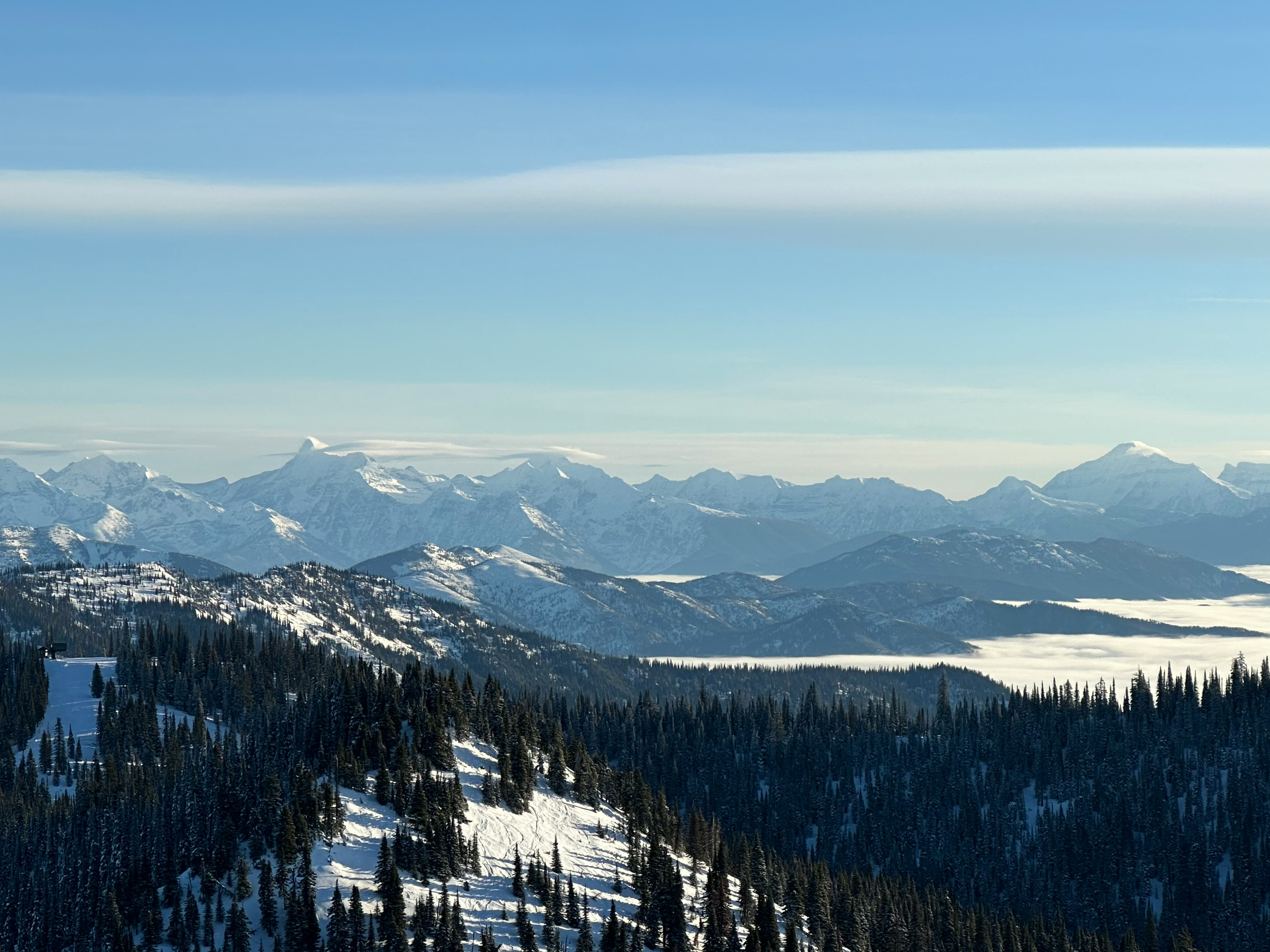 Whitefish
