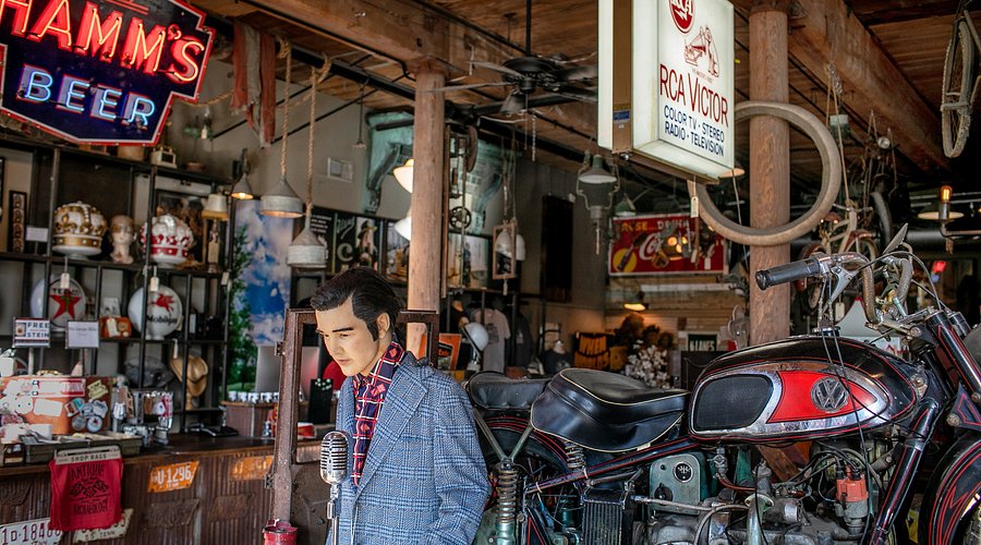 علم الآثار القديمة (ناشفيل) image