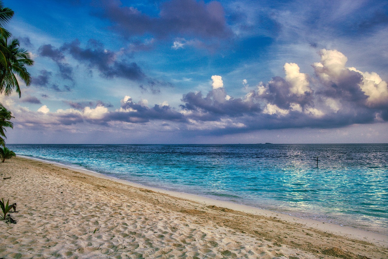 Padre Island National Seashore image