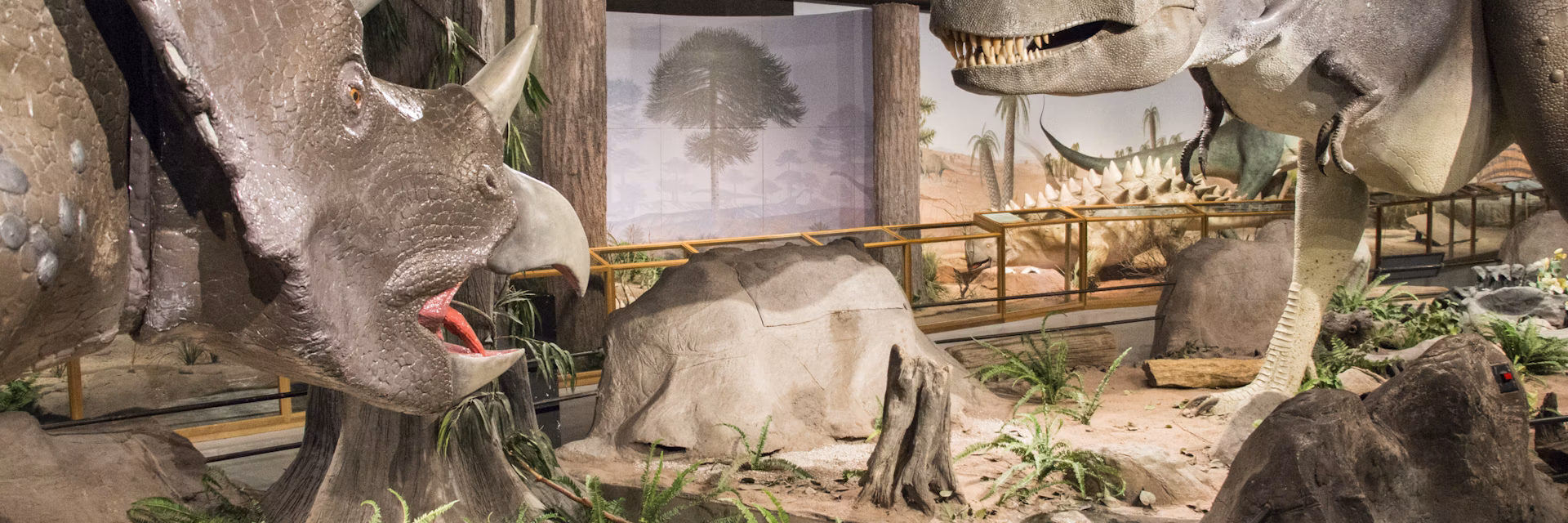 Las Vegas Natural History Museum image