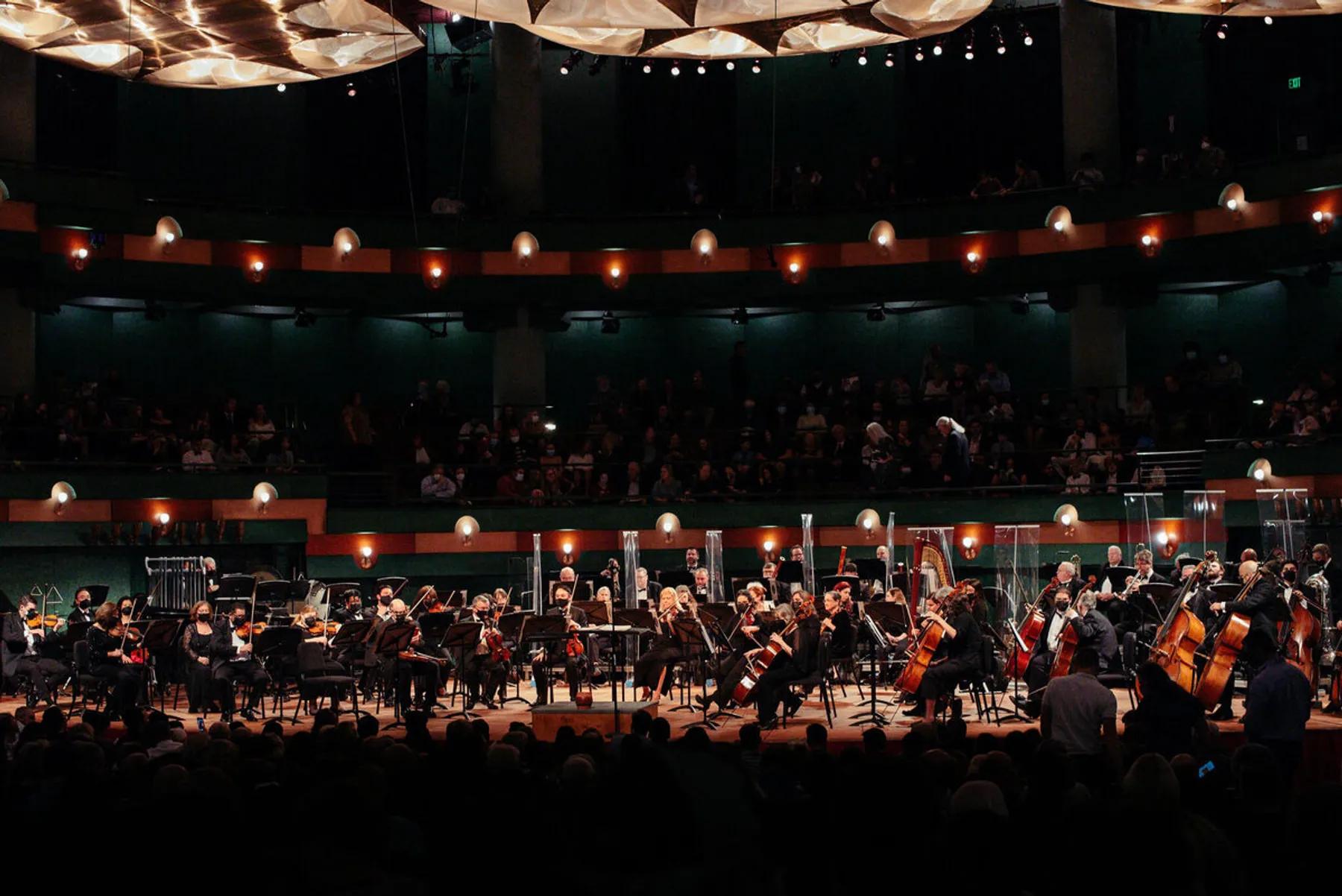 Corpus Christi Symphony Orchestra image